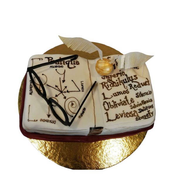 Gâteau Harry Potter en forme de livre de sortilèges avec lunettes Harry Potter et vif d'or